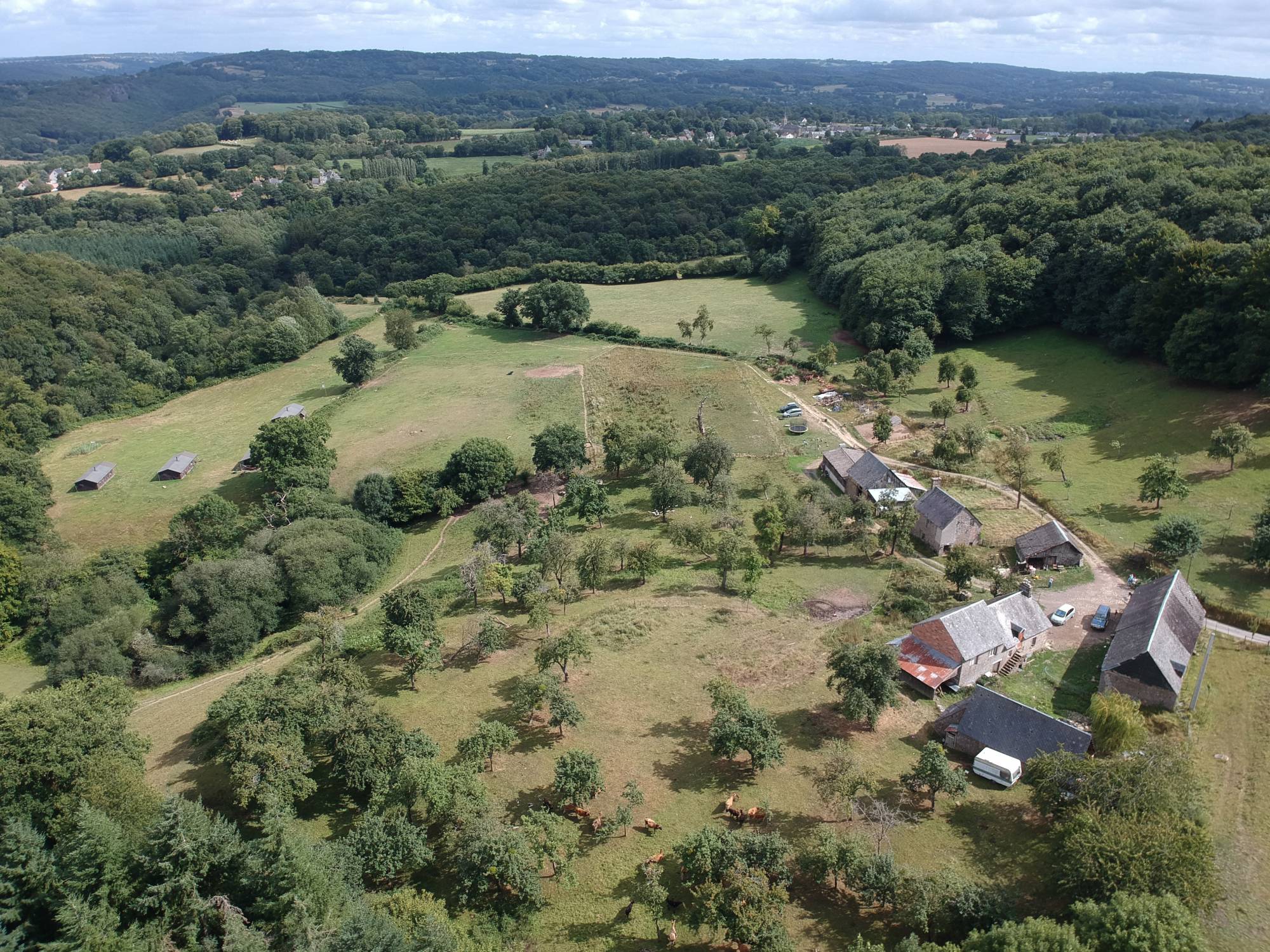Ferme traditionnelle, 25 hectares, ORNE 61