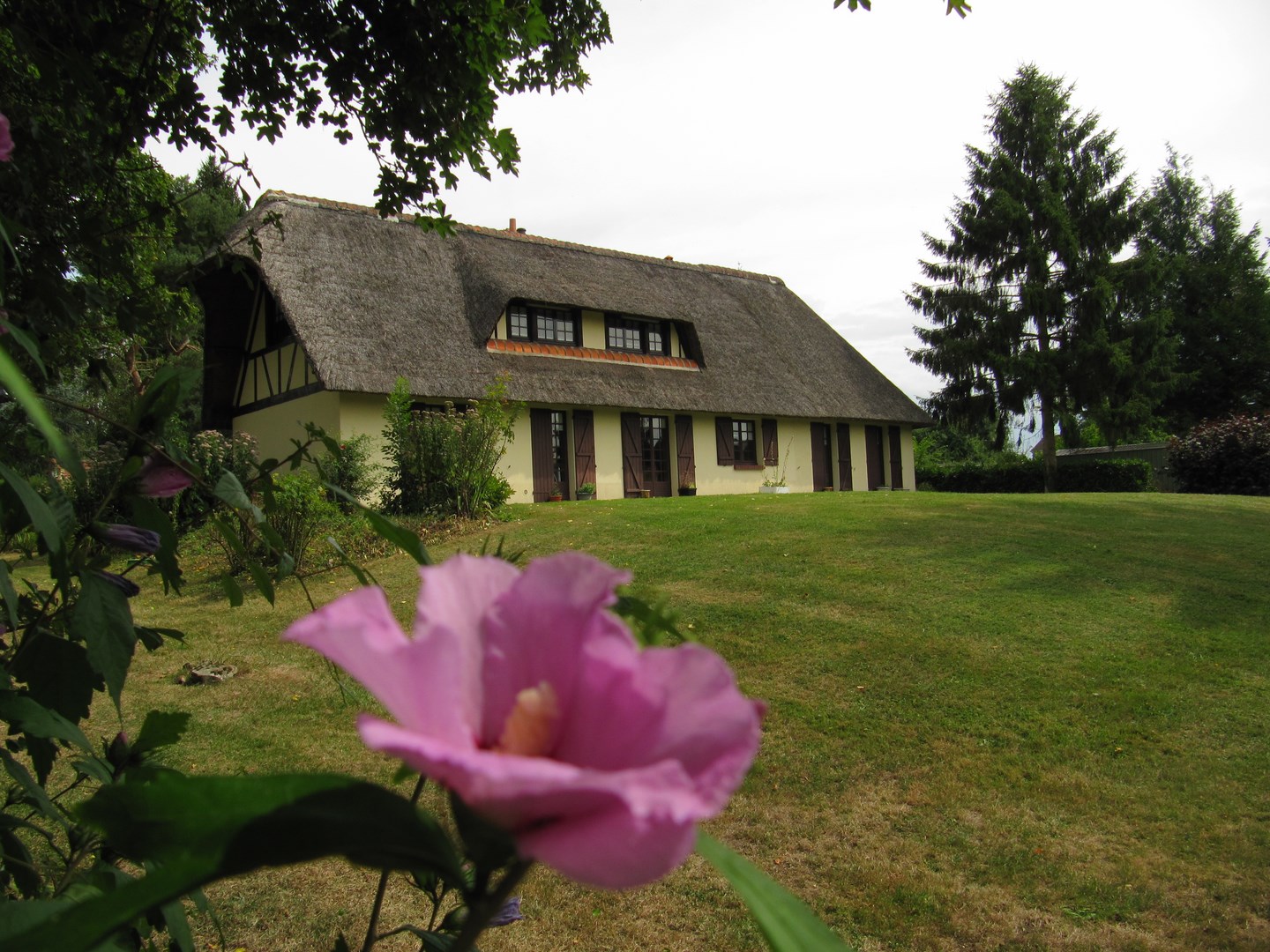 MAISON A VENDRE LISIEUX, AGENCE IMMOBILIERE TERRES ET DEMEURES DE NORMANDIE