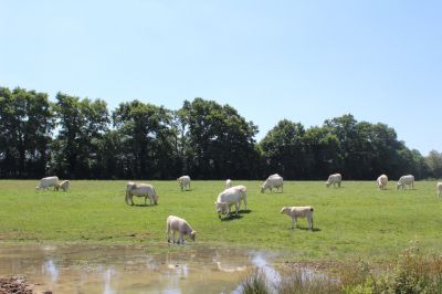 Terres et Demeures de Normandie vous invite à venir visiter cette propriété Calvados 14