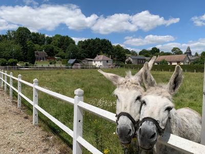 A vendre authentique Demeure et ses dépendances en Normandie 14