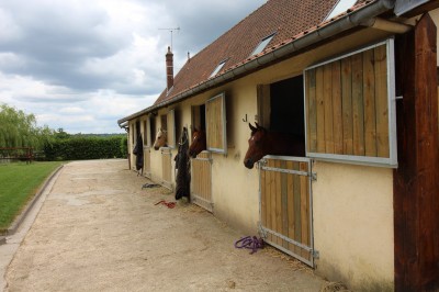 Achat idéal équitation propriété complètes en installations avec logements proche Pont-l’Évêque 14130