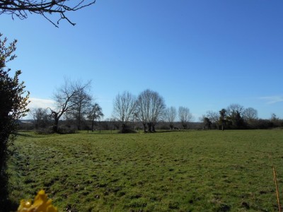 MAISON AVEC HECTARE POUR CHEVAUX EN NORMANDIE