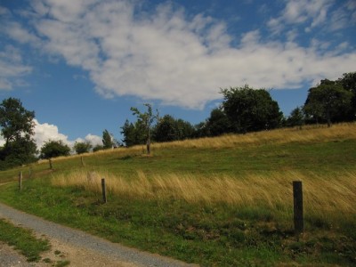 Terrain de 4 hectare 1/2 sur Lisieux 14, Normandie